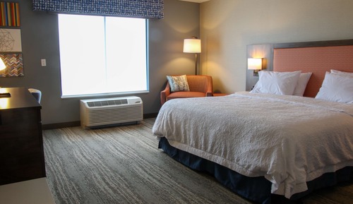 Room, 1 King Bed, Accessible (Roll-In Shower)