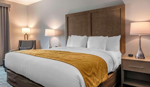 Standard Room, 1 King Bed, Non Smoking