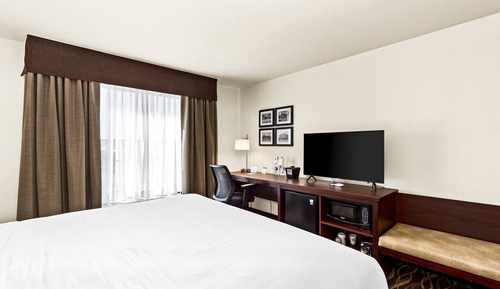 Room, 1 King Bed, Accessible, Non Smoking