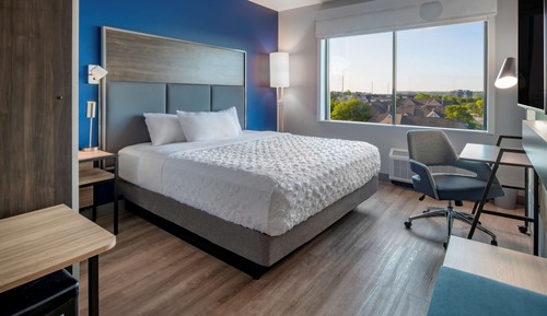Room, 1 King Bed