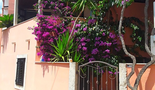 Apartment (Comfort One Bedroom Apartment)