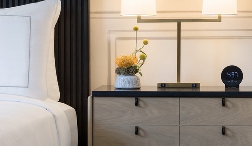Room, 1 King Bed