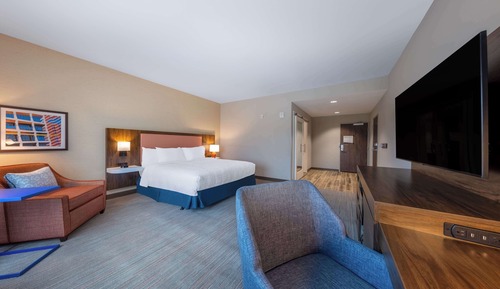 Room, 1 King Bed, Accessible (Roll-In Shower)