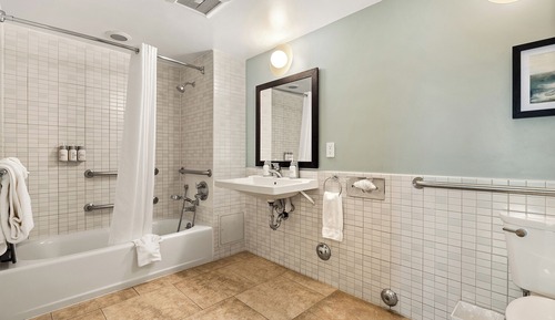 Standard Room, 1 Queen Bed, Accessible, Bathtub