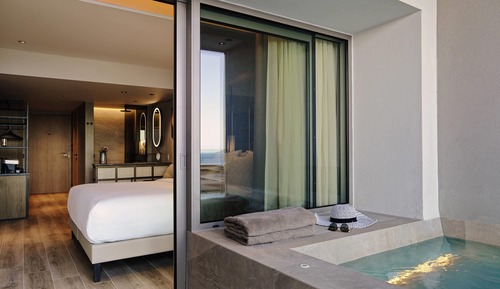 Deluxe Retreat with Plunge Pool, Atrium View