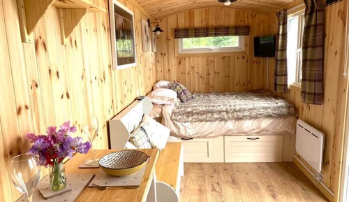 Cabin