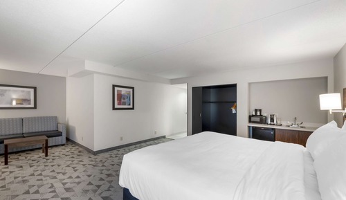 Suite, 1 King Bed, Non Smoking, Refrigerator & Microwave (with Sofabed)