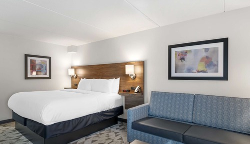 Suite, 1 King Bed, Non Smoking (Larger Room;with Sofabed)