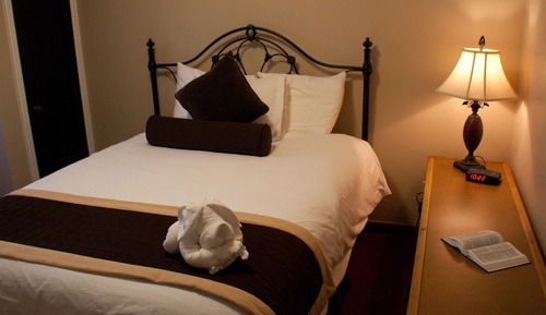 Basic Suite, 1 Bedroom