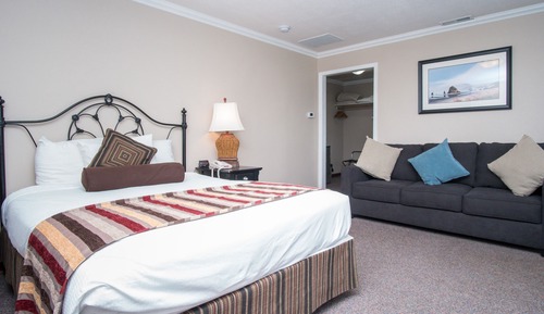 Basic Studio, 1 Queen Bed, Fireplace