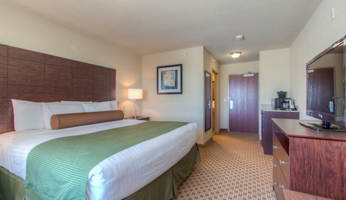 Room, 1 King Bed, Non Smoking