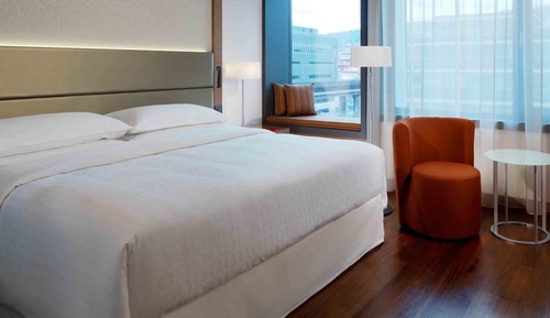 Room, 1 King Bed