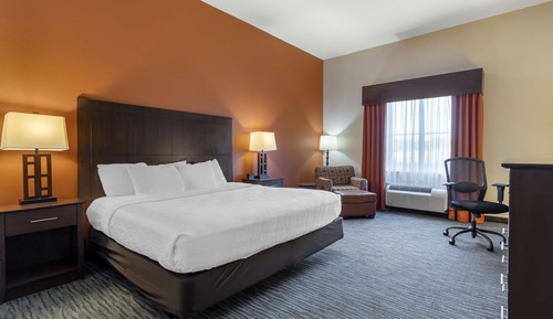 Standard Room, 1 King Bed, Accessible, Non Smoking