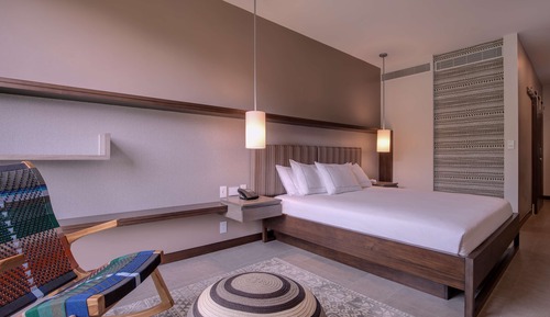 Room, 1 King Bed