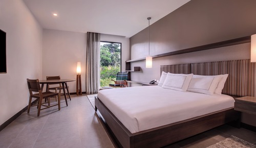 Room, 1 King Bed, Accessible (Mobility & Hearing, Roll-in Shower)