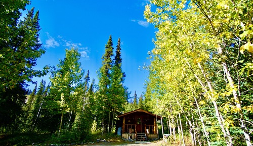 Classic Cabin