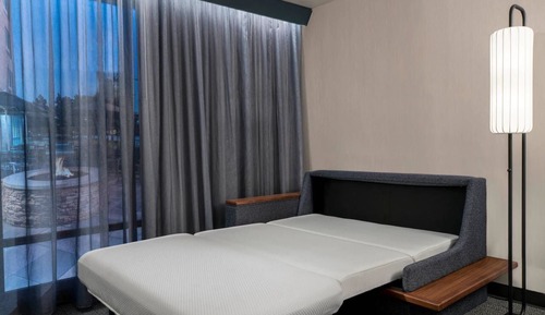 Room, 1 King Bed with Sofa bed