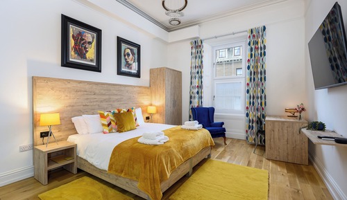 Junior Studio Suite