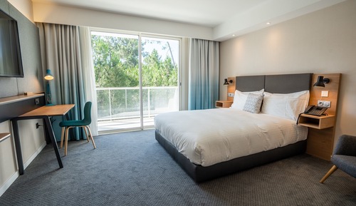 Standard Room, 1 Queen Bed, Accessible Bathtub