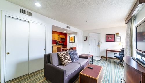 Basic Studio Suite