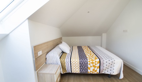 Apartment, 1 Bedroom (1)