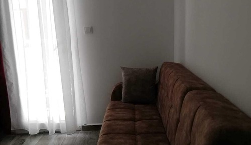 Basic Apartment