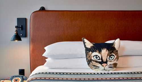 Standard Room, 1 King Bed