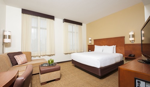 Room, 1 King Bed, Accessible (With Sofa bed, Shower/Tub)