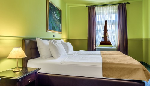 Business Double or Twin Room