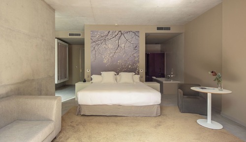 Deluxe Double Room, Terrace