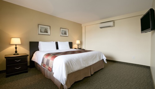 Room, 1 King Bed, Refrigerator