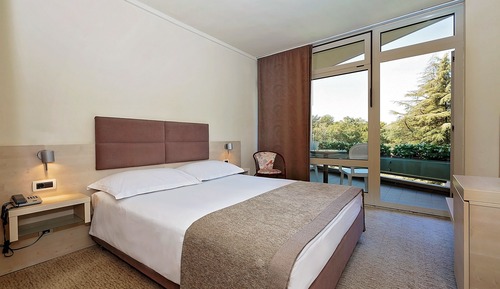 Classic room with balcony park side