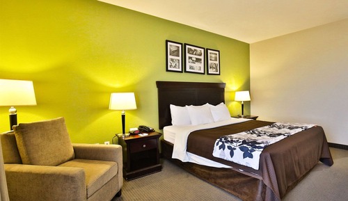 Room, 1 King Bed, Accessible, Non Smoking