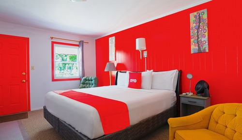 Room, 1 King Bed