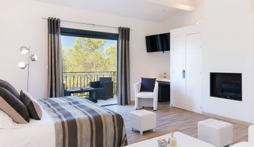 Executive Suite, 1 King Bed with Sofa bed