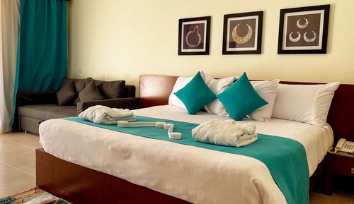 Superior Double or Twin Room