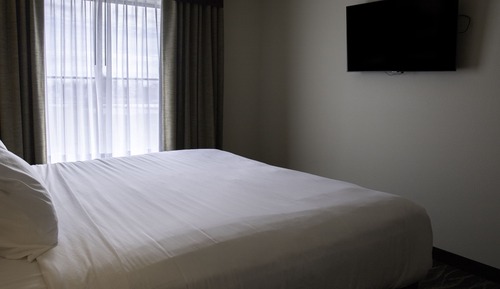 Suite, 1 King Bed with Sofa bed, Non Smoking