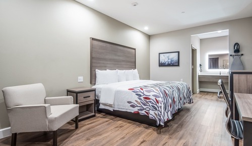 Deluxe Room, 1 King Bed, Accessible, Non Smoking (Roll-In Shower)