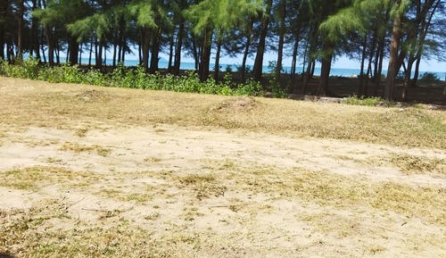 Deluxe Room with Sea View