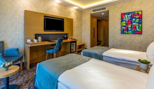 Deluxe Double or Twin Room