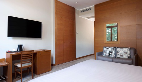 Deluxe Executive Room (2+1)