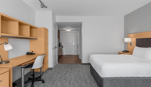 Studio, 1 King Bed with Sofa bed