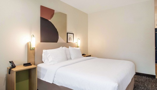 Suite, 1 King Bed, Accessible (Mobility & Hearing, Roll-in Shower)
