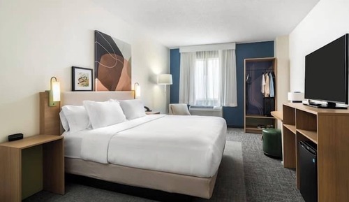 Room, 1 King Bed