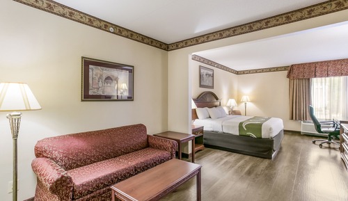 Suite, 1 King Bed with Sofa bed