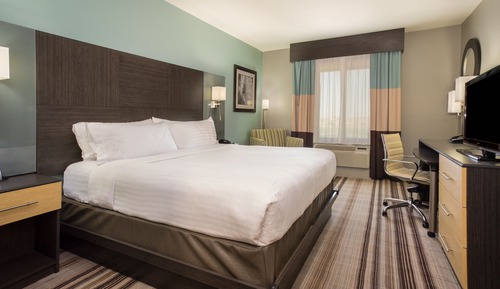 Suite, 1 King Bed with Sofa bed