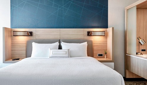 Suite, 1 King Bed with Sofa bed (Hearing Accessible)