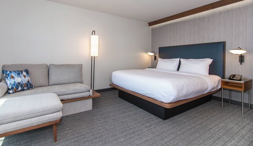 Room, 1 King Bed with Sofa bed (Hearing Accessible)