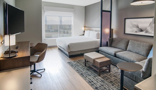 Room, 1 King Bed with Sofa bed, View