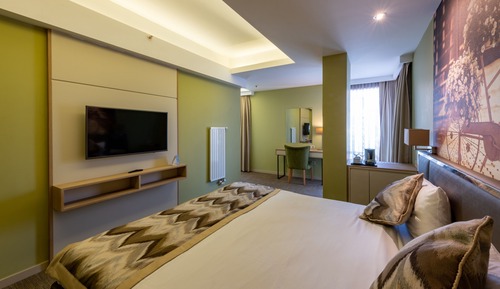 Deluxe Double Room, City View